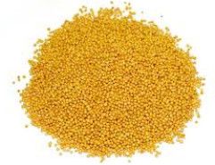 Organic Yellow Mustard Seeds