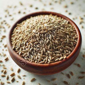 Cumin Seeds