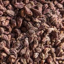 Organic Black Cardamom