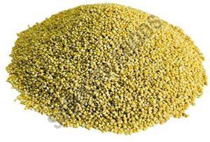 Organic Browntop Millet