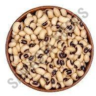 Organic Cowpea