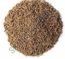 Organic Cumin seeds