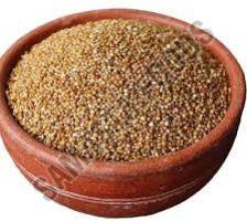 Organic kodo millet