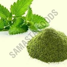 ORGANIC MINT POWDER