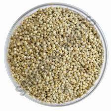 Organic Pearl Millet