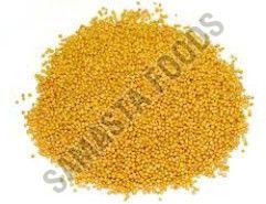 Organic Yellow Mustard Seeds