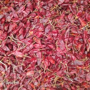 Bullet Dried Red Chilli