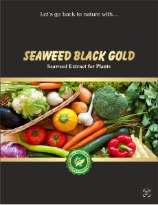 seaweed extract flakes