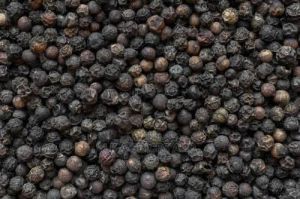 Black Pepper