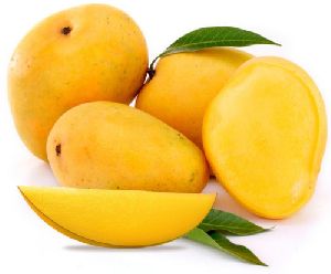 Fresh Alphonso Mango