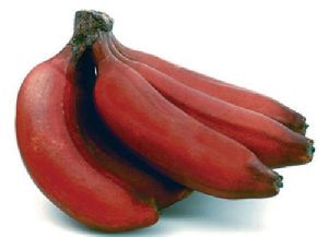 Fresh Red Banana