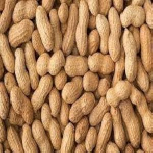 Shelled Groundnuts