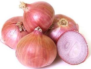 Fresh Pink Onion