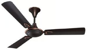 Ceiling Fans