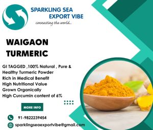 waigaon turmeric powder