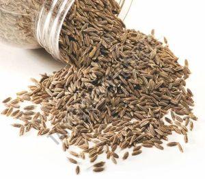 Cumin Seed