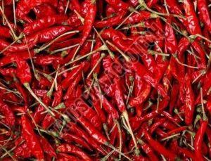 Dry Red Chilli