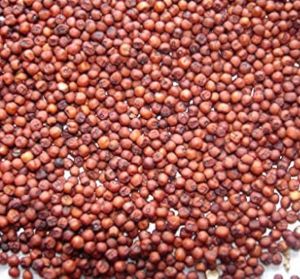 Finger Millet Seeds