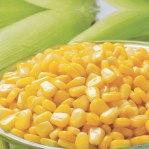 Frozen Sweet Corn