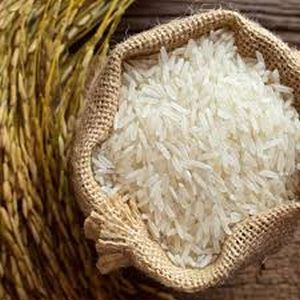 Organic Basmati Rice