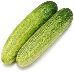 Fresh Cucumber