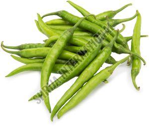 Fresh Green Chilli