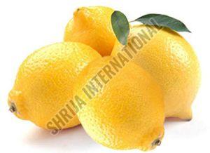 Fresh Lemon