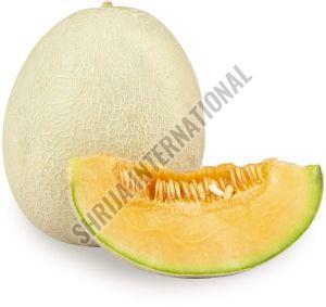 Fresh Muskmelon