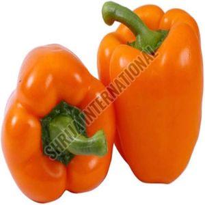 Fresh Orange Capsicum