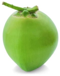 Green Tender Coconut