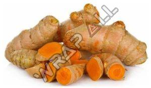 Pure Raw Turmeric Finger