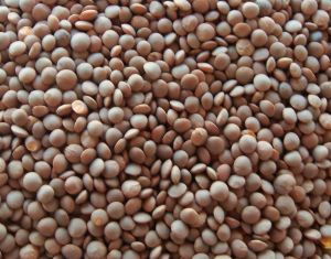 Brown Masoor Dal