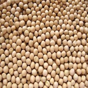 DRIED WHITE PEAS