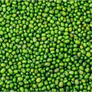 Green Mung Beans