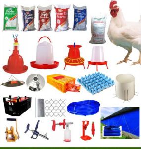 poultry agro product