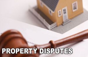 Property Dispute Service