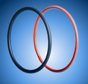 encapsulated o rings