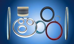 M-UNI Spring Energized Seals