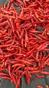 Dry Red Chilli