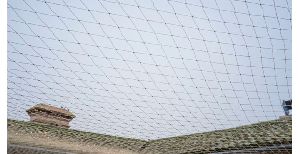 pigeon safety nets