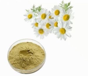 Chamomile Flower Powder