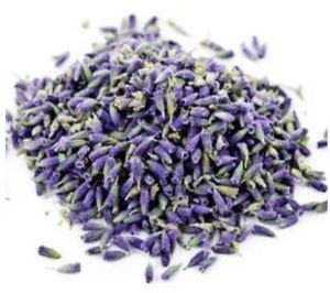 Dried Lavender Flower