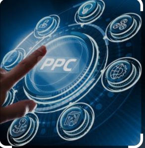 Pay-Pay-Click(PPC)