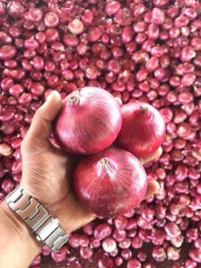 Red Onion