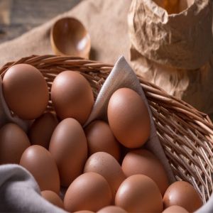 Brown Chicken Eggs