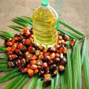 Refined Palm Oil