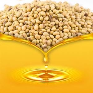 Soybean Acid Oil