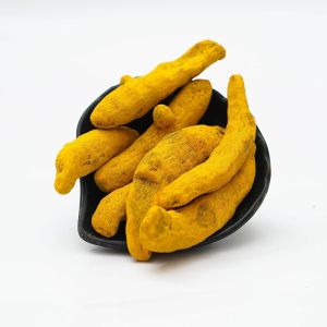 Turmeric Finger