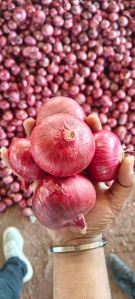 Red Onion