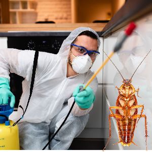 Pest Control Services